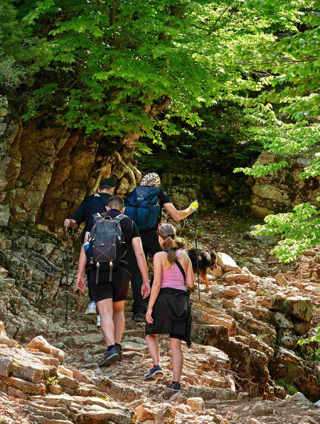 Community Skills Integration Program (CSIP)